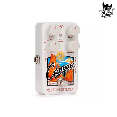 Electro Harmonix Canyon Delay & Looper