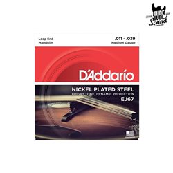 D'Addario EJ67 NPS Mandolin Medium 11-39