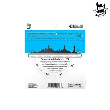 D'Addario EPBB170 Phosphor Bronze Acoustic Bass Light 45-100