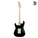 Fender Stratocaster Eric Clapton MN Blackie