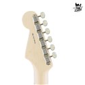 Fender Stratocaster Eric Clapton MN Blackie