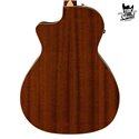 Fender Newporter Player Flex WN Sunburst