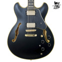 Ibanez JSM20 John Scofield Black Low Gloss