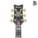 Ibanez JSM20 John Scofield Black Low Gloss