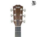 Taylor 810e Legacy Collection Natural