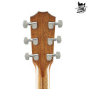 Taylor 810e Legacy Collection Natural
