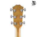 Taylor 214ce Walnut Natural