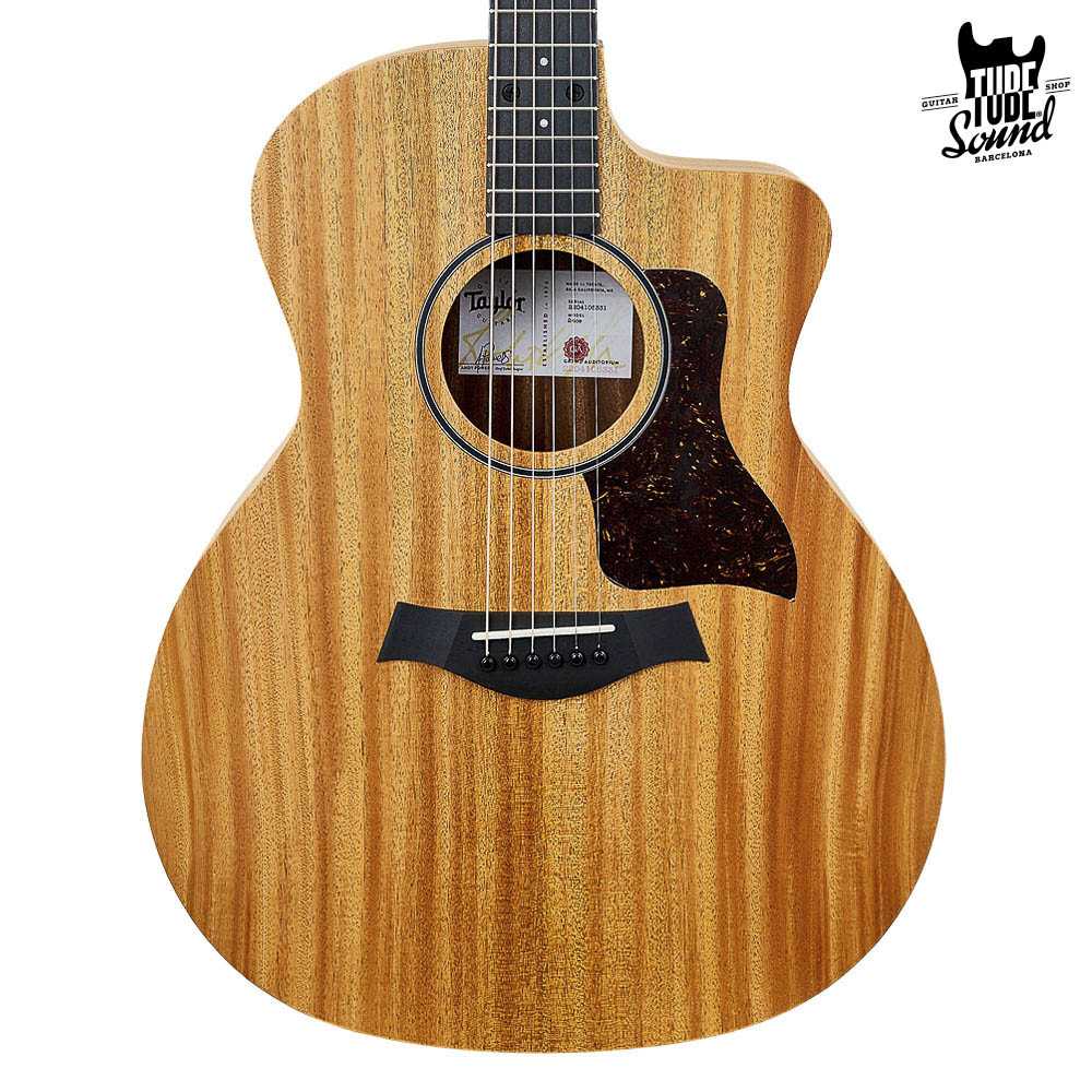 Taylor 24ce Sapele