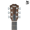 Taylor GS Mini Sapele