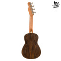 Fender Zuma Exotic Concert Ukelele WN Bocote