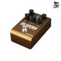 Strymon Olivera Vintage Oil Echo