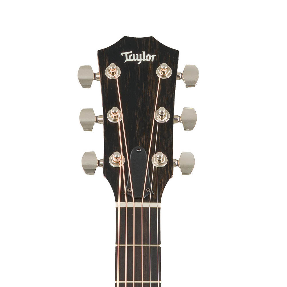 Taylor 414ce Studio Natural