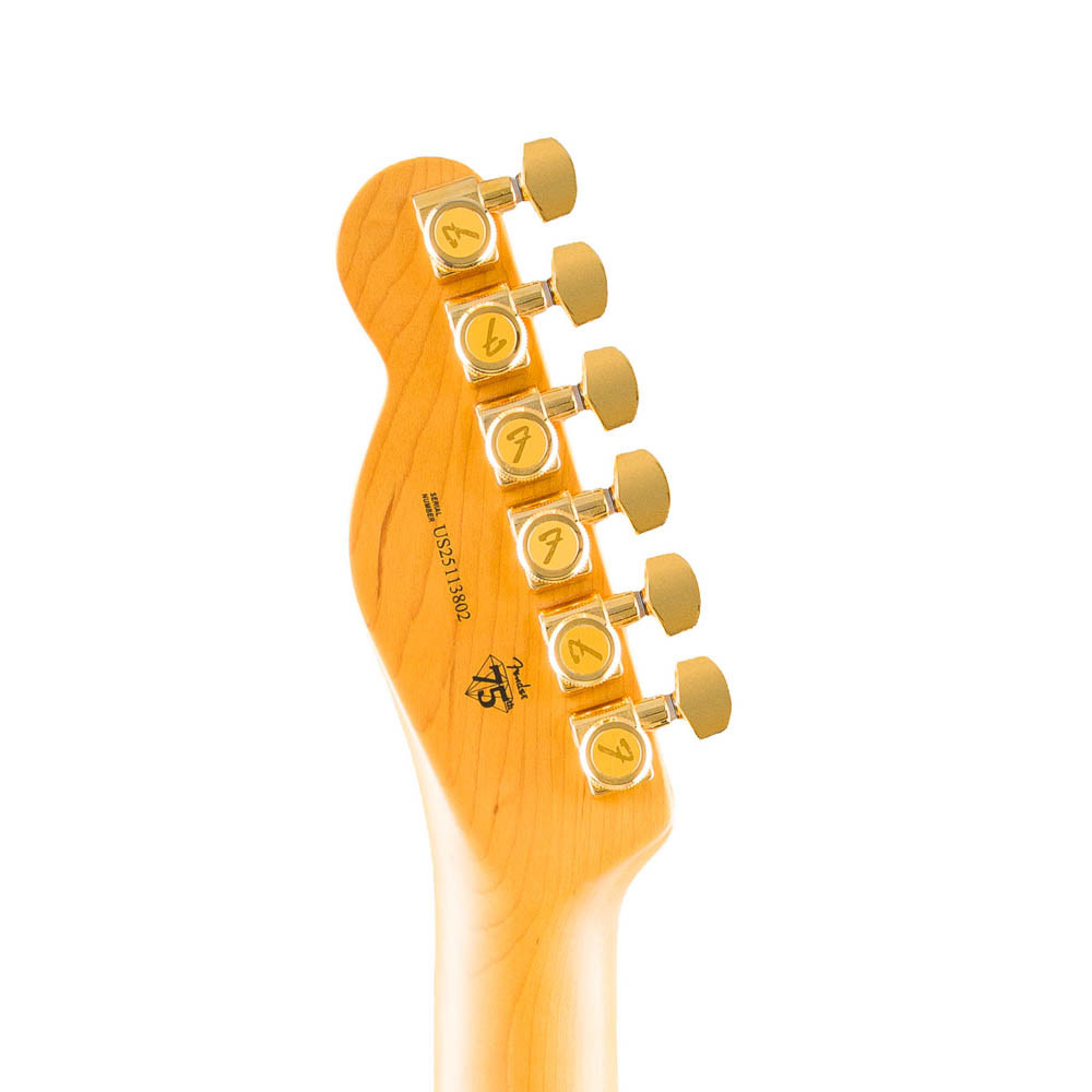 Fender Telecaster Custom American Professional 75th Anniversary MN 2 Color Sunburst