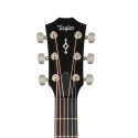 Taylor 414ce Next Generation Natural
