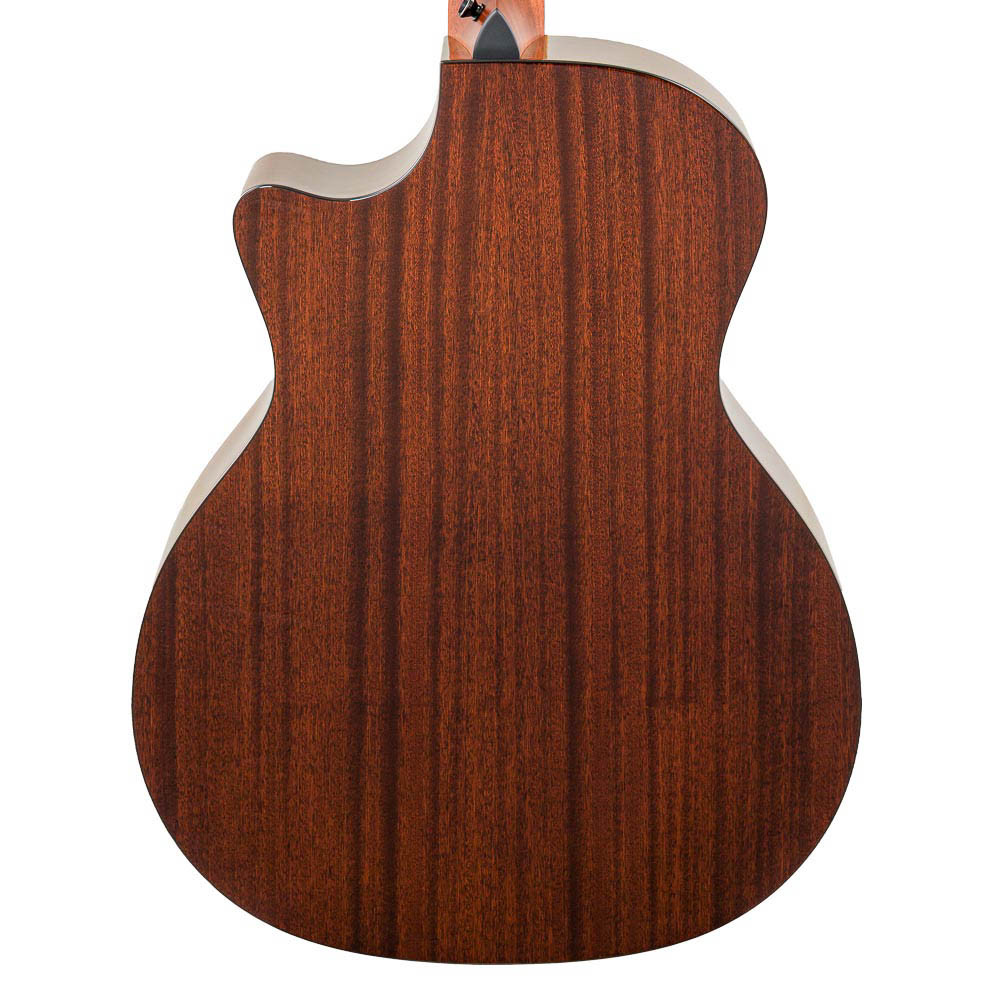 Taylor 314ce Next Generation Natural